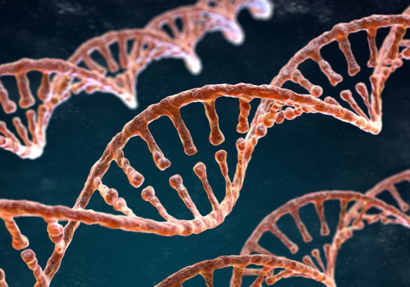 News_DNA-Strand